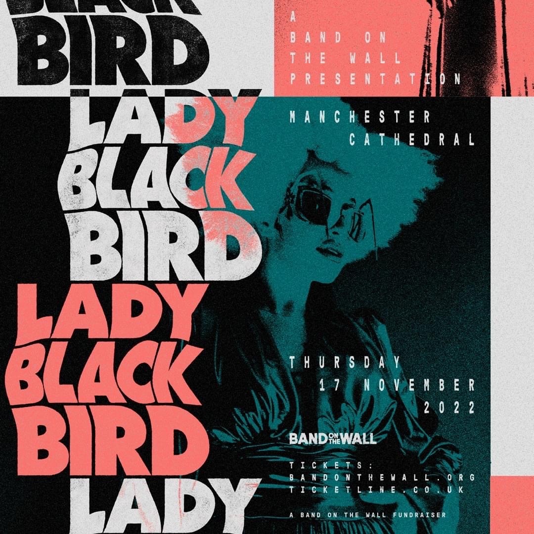 Lady Black Bird poster